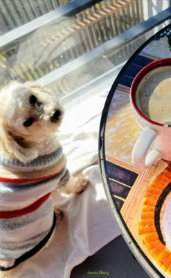 Photo of me looking up at a round table topped with coffee, a plate of Joanna's food and a small bowl of snacks.
