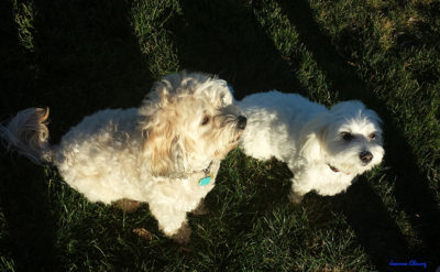 Photo of me and Izzy sitting while snacks are readied for tasting.
